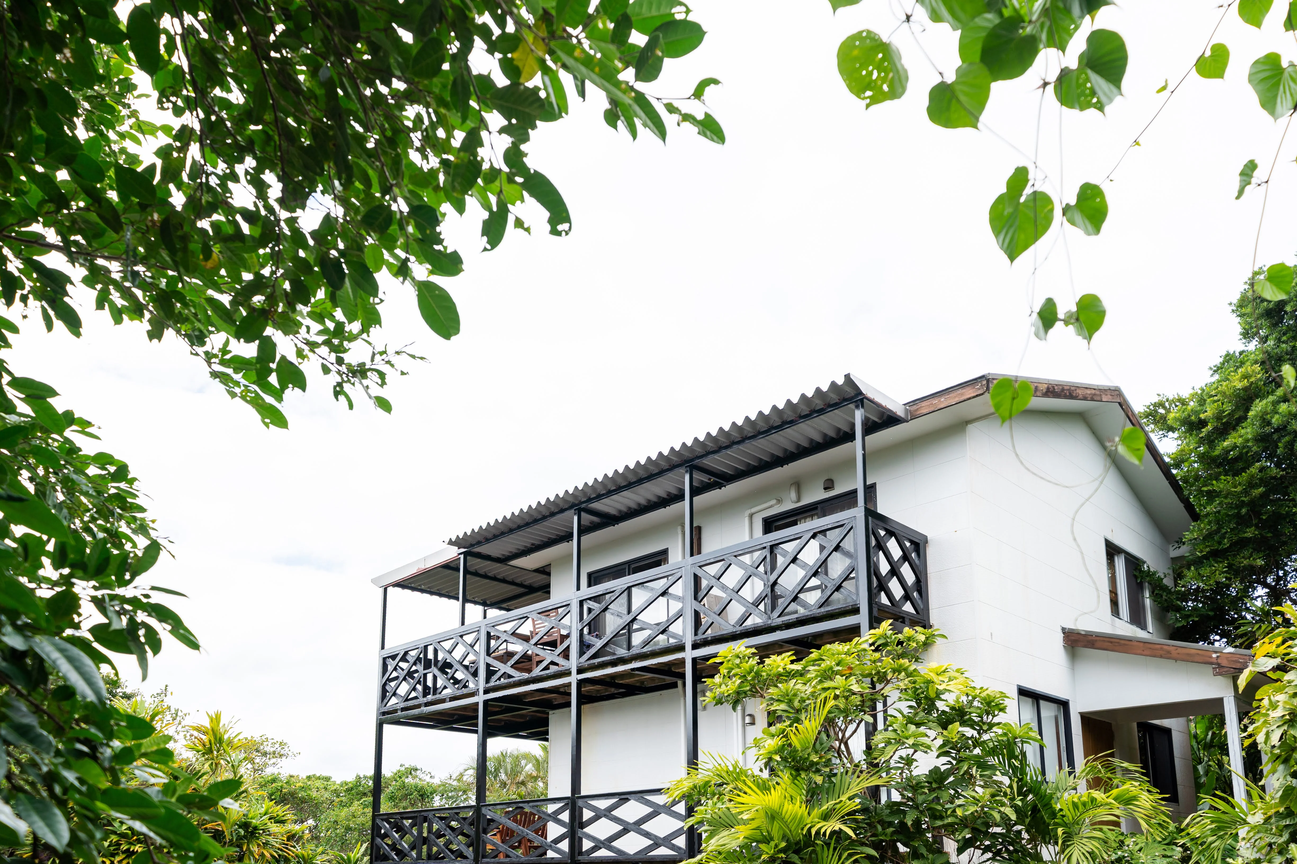 ギャラリー画像 2